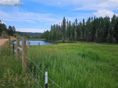 (private lake, pond, creek) Acreage For Sale in Divide Colorado