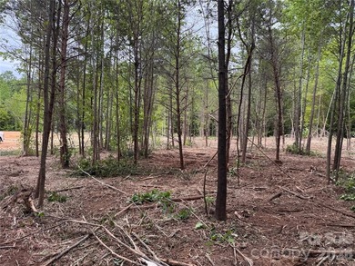 HOBBS CREEK RESERVE !!! This is a 36 lot Subdivision with - photo 22