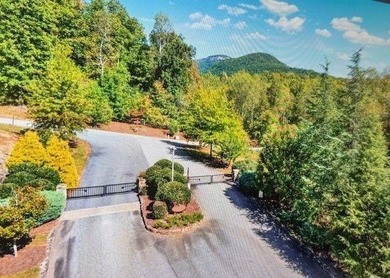 Lake Laceola-Mountain Lodge Retreat with Long-Range Views in - photo 4