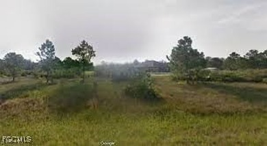 Lehigh Acres Area Commercial For Sale in Lehigh Acres Florida