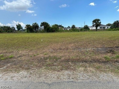Nice building site on freshwater canal with southern exposure in - photo 4