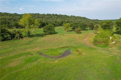 Grand Lake O the Cherokees Acreage For Sale in Wyandotteok Oklahoma