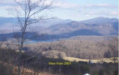 Lake Lot For Sale in Hayesville, North Carolina
