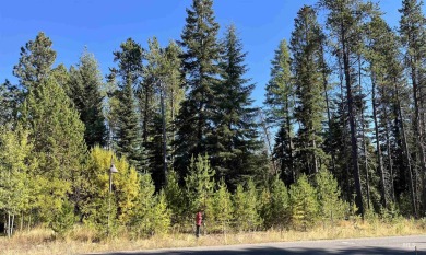 Lake Lot For Sale in Donnelly, Idaho