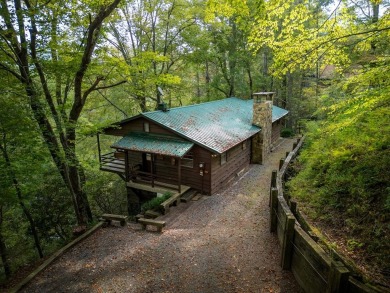 Lake Home For Sale in Blue Ridge, Georgia