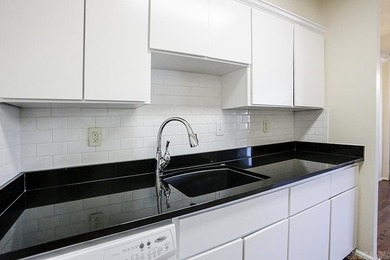 Experience urban living at its finest in this beautifully - photo 13
