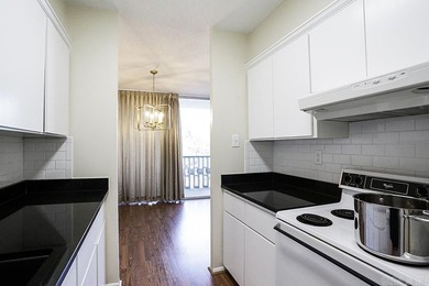 Experience urban living at its finest in this beautifully - photo 14