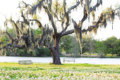 Lower Atchafalaya River Lot For Sale in Berwick Louisiana