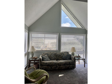Beautiful top-floor, corner 2 bedroom, 2 full bathroom fully - photo 2
