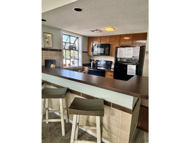 Beautiful top-floor, corner 2 bedroom, 2 full bathroom fully - photo 7