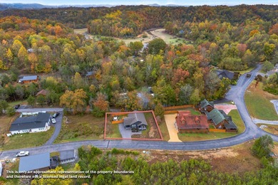 **RARE OPPORTUNITY** 855 Blue Herringway Sevierville, Tn 3 - photo 37