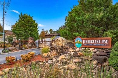 **RARE OPPORTUNITY** 855 Blue Herringway Sevierville, Tn 3 - photo 43