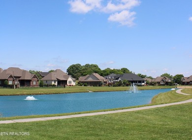 Countryside ambience on a level corner lot in Maryville with - photo 45