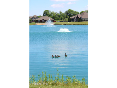 Countryside ambience on a level corner lot in Maryville with - photo 46
