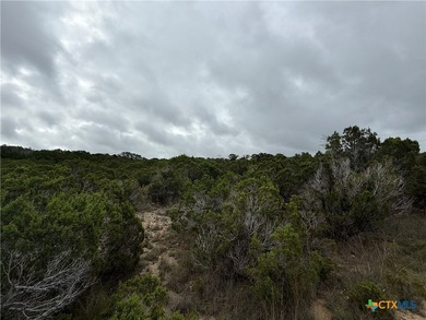 Beautiful acreage with exceptional views! +-50ac Salado ISD with - photo 9