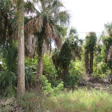 Lake Lot For Sale in St. James City, Florida