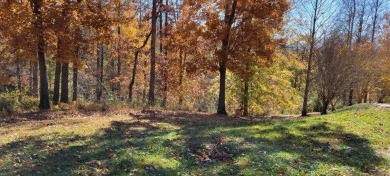  Lot For Sale in Byrdstown Tennessee
