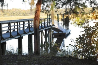 Tolomato Island on the Georgia Coast! Build your coastal retreat - photo 11