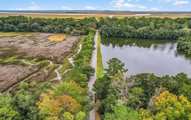 Tolomato Island on the Georgia Coast! Build your coastal retreat - photo 22