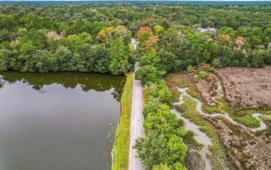 Tolomato Island on the Georgia Coast! Build your coastal retreat - photo 24