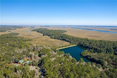 Tolomato Island on the Georgia Coast! Build your coastal retreat - photo 26