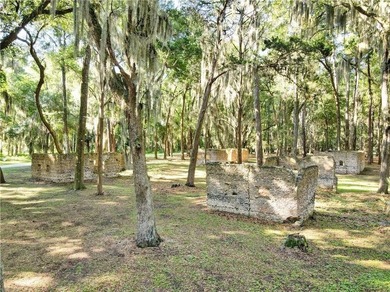 Tolomato Island on the Georgia Coast! Build your coastal retreat - photo 30