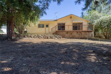 Hello NEW Roof ! Cute house, large lot, lots of parking, garage - photo 34