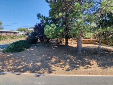 Hello NEW Roof ! Cute house, large lot, lots of parking, garage - photo 39