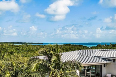 Estate Opportunity Spanning 34,409 SF, this exceptional parcel - photo 7