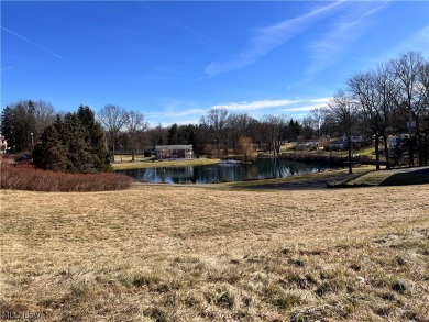 (private lake, pond, creek) Commercial For Sale in Canton Ohio