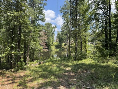 (private lake, pond, coastal) Acreage For Sale in Trenton South Carolina