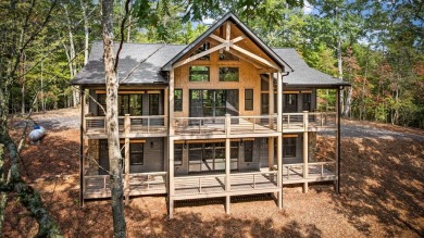 Toccoa River - Fannin County Home For Sale in Mineral Bluff Georgia