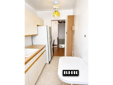 Old Mill Basin ... Brand new to market. Bright, spacious 1 bed - photo 6
