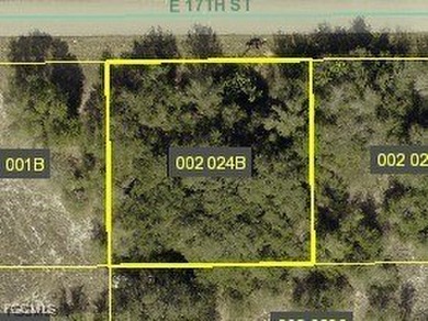 Lehigh Acres Area Lot For Sale in Lehigh Acres Florida