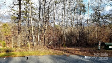 91 acre golf course lot with sloping topography conducive to a - photo 3