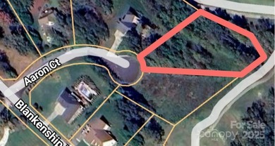 91 acre golf course lot with sloping topography conducive to a - photo 5