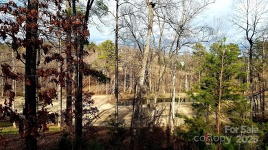 91 acre golf course lot with sloping topography conducive to a - photo 6