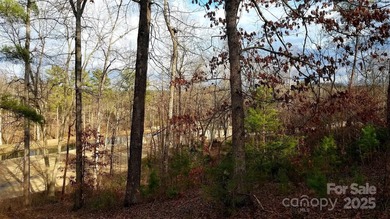 91 acre golf course lot with sloping topography conducive to a - photo 7