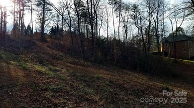 91 acre golf course lot with sloping topography conducive to a - photo 8