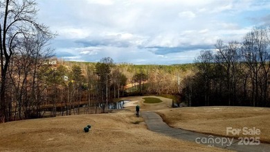 91 acre golf course lot with sloping topography conducive to a - photo 9
