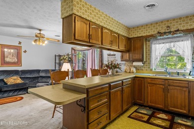 Nice vacation home with seasonal lake views of Douglas Lake - photo 21