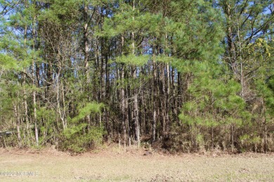 Lake Lot Off Market in Belhaven, North Carolina