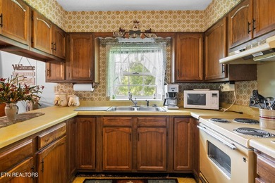 Nice vacation home with seasonal lake views of Douglas Lake - photo 22