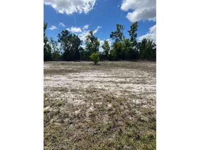 Premier Freshwater Lot in NW Cape Coral. Discover your slice of - photo 2
