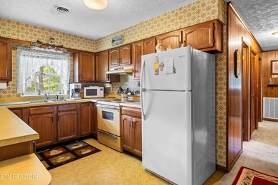 Nice vacation home with seasonal lake views of Douglas Lake - photo 23