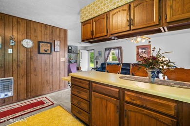 Nice vacation home with seasonal lake views of Douglas Lake - photo 24