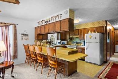 Nice vacation home with seasonal lake views of Douglas Lake - photo 25