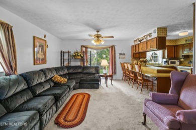 Nice vacation home with seasonal lake views of Douglas Lake - photo 27