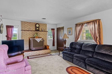 Nice vacation home with seasonal lake views of Douglas Lake - photo 28
