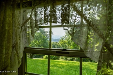 Nice vacation home with seasonal lake views of Douglas Lake - photo 30
